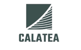 Calatea